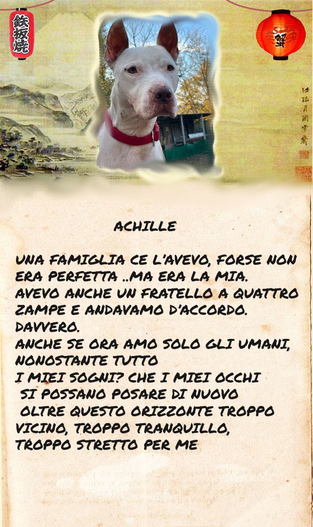 cartolina mono finale copia