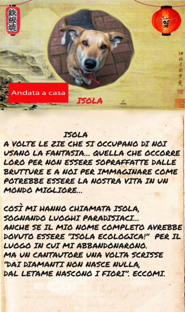 Isola