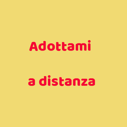 adozioni