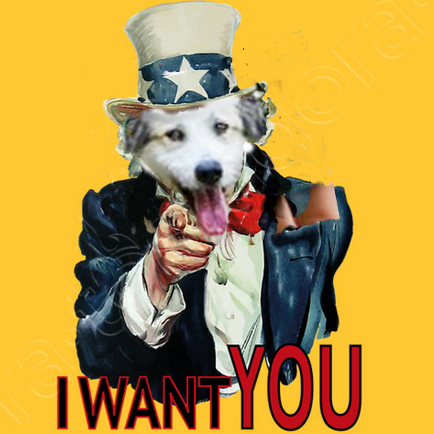 i wantyou2
