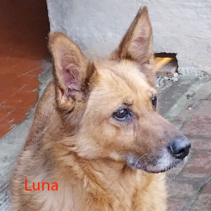 luna2 c