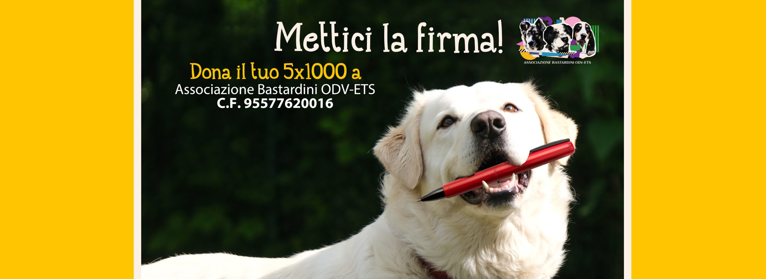 5 per mille