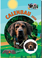 calenbau2026a