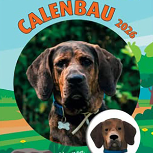 CALENBAU3