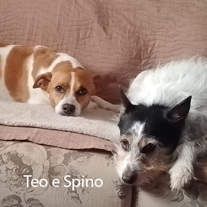 teo e spino