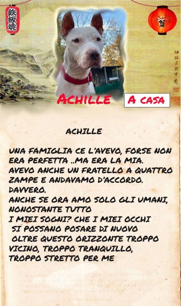 Achille
