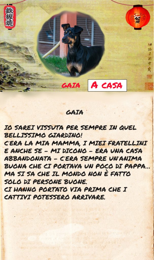 Gaia