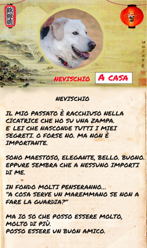 Nevischio