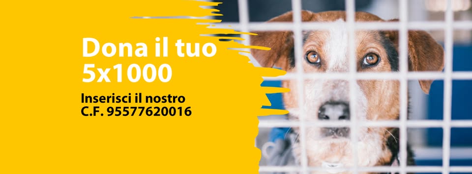 5permille2026
